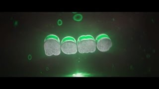 FREE Color Switch AE & C4D Intro Template #708 + Tutorial
