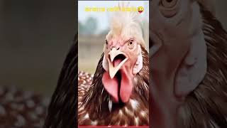 কাকারে কেউ থামান।😜😜 #duet #funnyshorts #viralfunny #irs #comedy #minivlog #foryou #foryoutube #dhaka