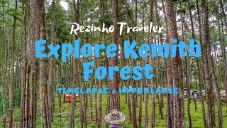 Cinematic Video I Explore Kemith Forest I Timelapse & Hyperlapse