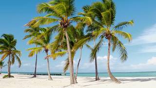Unwind After a Long Day: Soothing Bossa Nova Music  With The Sound Of Crashing Waves For Relaxation