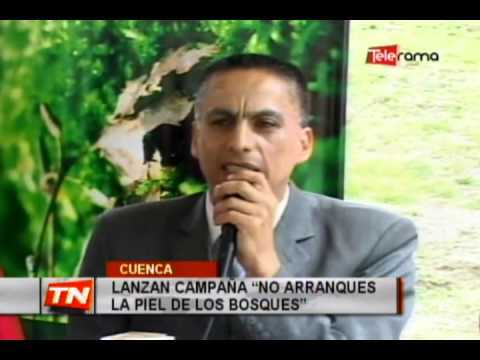 Lanzan campaña no arranques la piel de los bosques