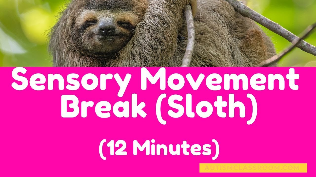 Sensory Movement Break Calming Music (Sloth) for a Timed 12 Minute ...