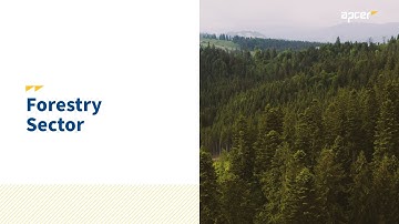 Forest Management: certification and trust with sustainable impact