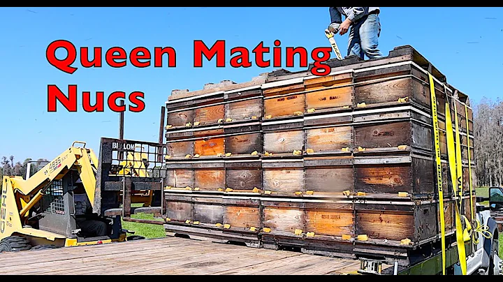 Florida Beekeepers Part 4: Queen Production with C...