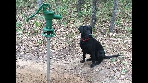 Shallow Well Part III - Thirst No More