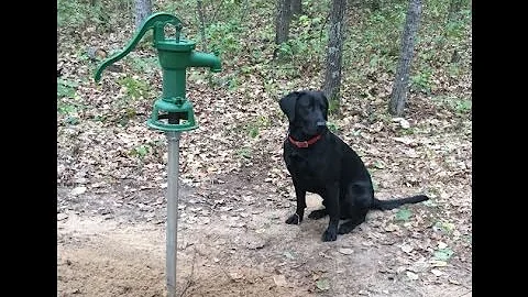 Shallow Well Part III - Thirst No More