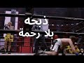 شاهد كيف ذبح جايك بول خصمه بين اسكرين في الجولة الأولى 