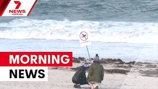 John Farnham misses tribute concert; fatal stabbing; tributes for shark attack victim | 7NEWS