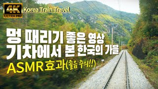 1시간 기차여행! 풍경&기차소리 들으며 멍 때리듯 수면유도하기! 한국의 가을(1)_Autumn in Korea seen from inside the train_Front View!