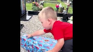 He received a special gift.#pets #cute #shorts