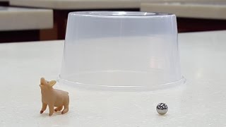 Circular Motion: Ball Bearing in Circles   xmphysics 124
