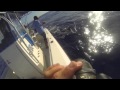 Blue marlin peak sportfishing exmouth australia