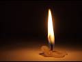 Warmrelic 🕯️ Quiet Flame &amp; Silent Night 🕯️ Reset Your Mind Edition #relaxing