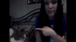 Disney College Program Fall 2012: The Beginning