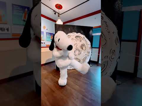 Snoopy S Favorite Dance Move Knott S Berry Farm Shorts