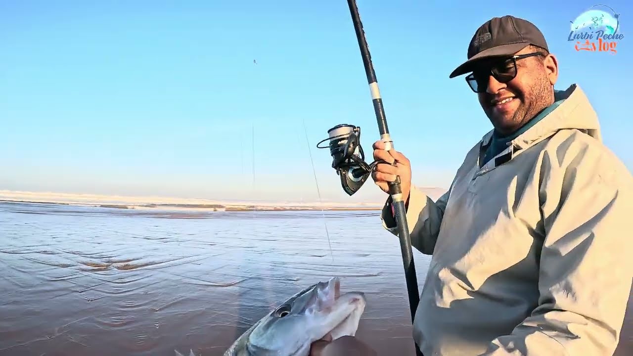 صيد سمك درعي بالأخطبوط (أزايز/روطال) بتقنية سورف كستننغ 