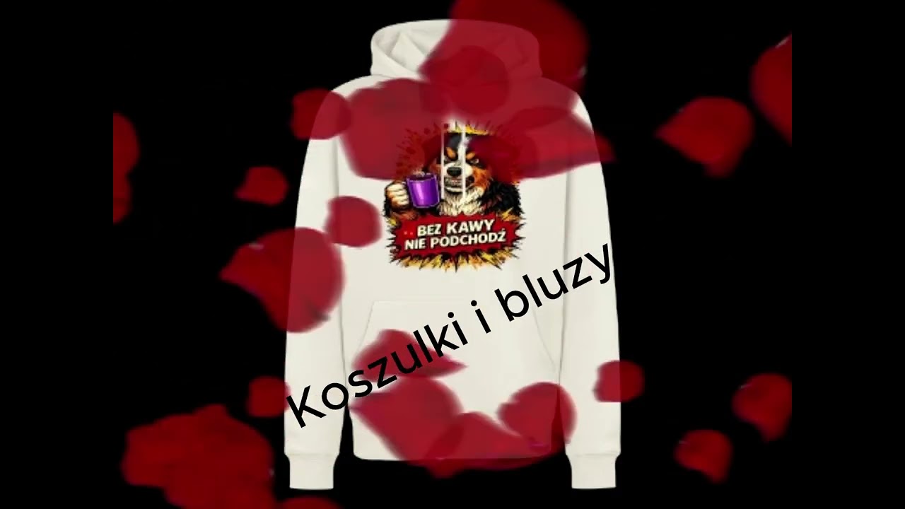 Odtwarzacz wideo YouTube