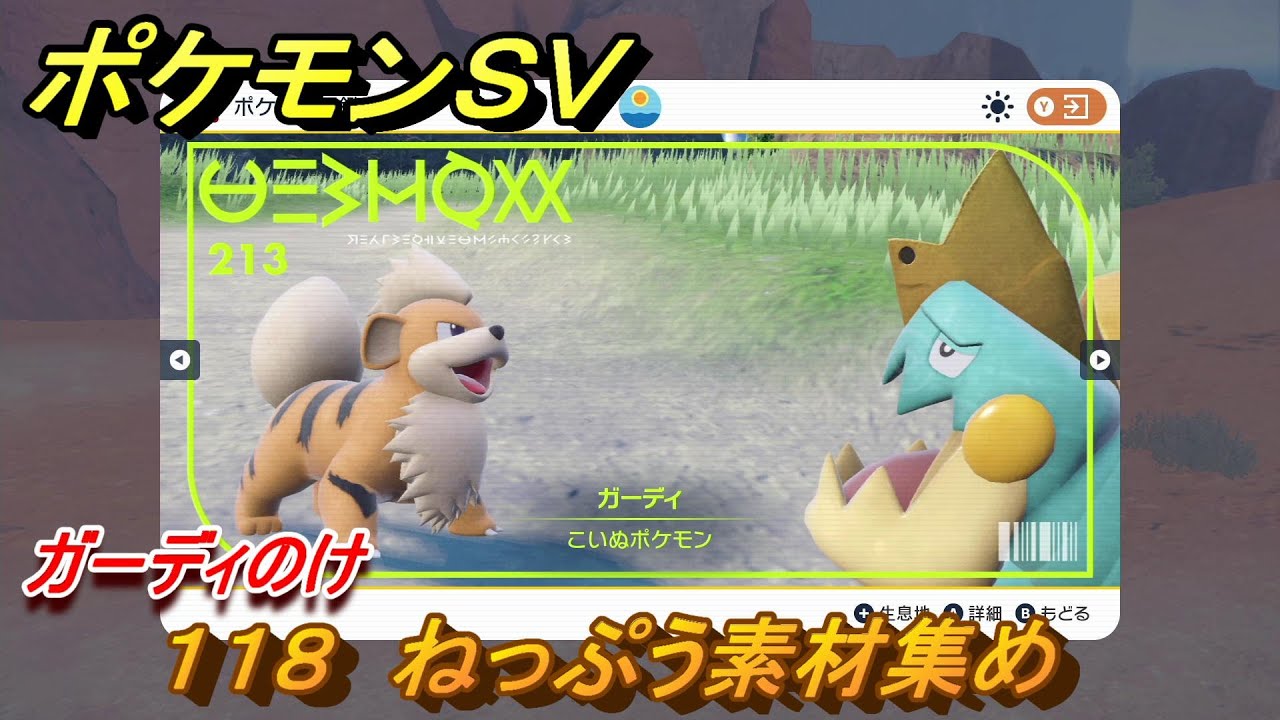 ポケモンｓｖ わざマシン１１８ ねっぷう素材集め ガーディのけの入手方法は スカーレット バイオレット Youtube