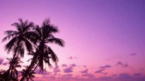 سورة الواقعة تلاوة خاشعة بصوت القارئ سليم باهانان