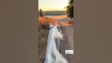 هزتني من يدري يا صبابة قلبي Explore اكسبلور ترند لايك اقتباسات Explorepage ريلز Reels 