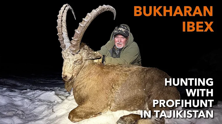 BUKHARAN IBEX HUNTING WITH PROFIHUNT IN TAJIKISTAN