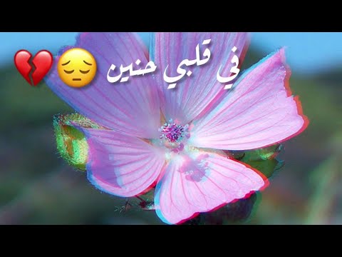 واحشنا يا رسول الله ماهر زين حالات واتس اب