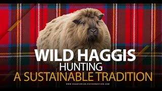 Haggis Hunting In Scotland Necessity Or Cruelty?