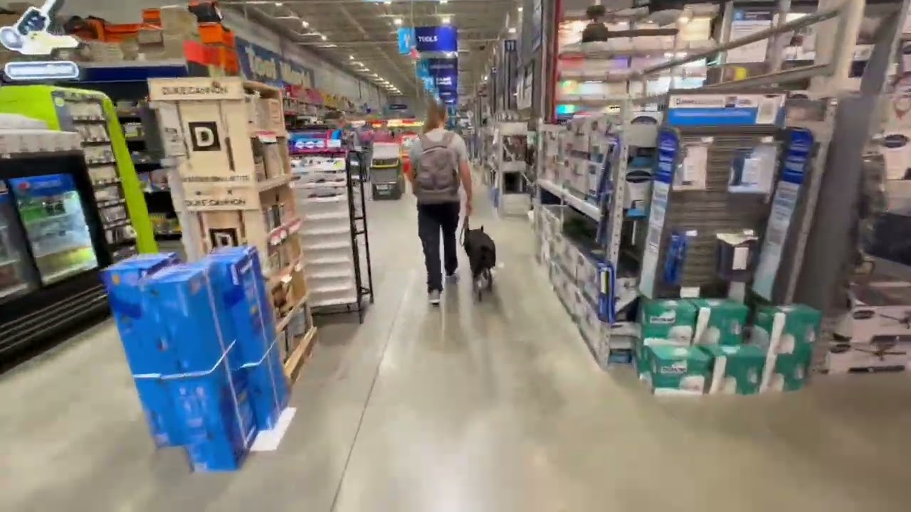 Irwin | 8 Year Old Cattle Dog Mix | Distraction Training | Impulse Control | Reactivity Training