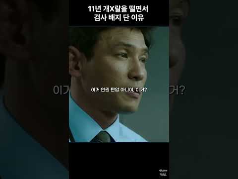 11년 개X랄을 떨면서 검사 배지 단 이유