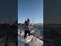 Ocean fishing setup! #fishing #fish #boating #cabosanlucas #marlin #oceanfishing