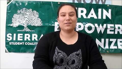 Sprog Promo Video 2015