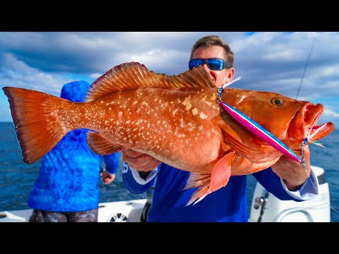 BIG Fish CAN'T RESIST Colorful Jigs┃Catch, Clean & Cook