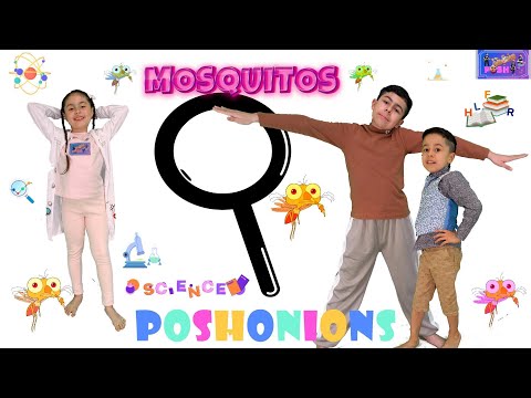 POSH The Scientist Mosquitos PoshOnions