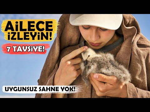 Ailece İzlenecek 7 FİLM Tavsiyesi! (+18 SAHNE YOK)