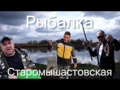 Рыбалка Краснодарский Край Старомышастовская | Весенние Караси Радуют