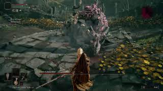 StayCalmBro Elden Ring part 8