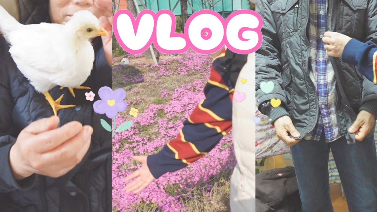 반지하 브이로그,친정어머니🙆🏻‍♀️집 가던날,화장품💄💍,귀여운 삐약이🐤보고,옷👕구경하고,맛있는 선지국🍲먹고,맑은햇살🌸가득 행복😄한날