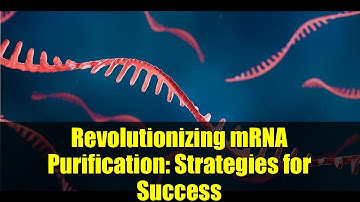 Revolutionizing mRNA Purification: Strategies for Success