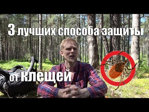 Видео: 3 способа защищаться