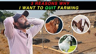 YOU HAVE BEEN LIED TO: THIS IS WHY FARMING IN AFRICA IS DIFFICULT