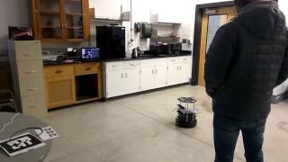 Celebrity Gesture Based Robot Control Profile