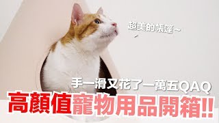 超美貓帳篷高顏值寵物用品開箱【好味貓開箱】EP13