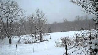 farm - winter, snow 2-5-2011-1.avi