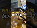 青森で初めてアレ食べました…#日本一周 #一人旅 #原付 #無料キャンプ場 #青森