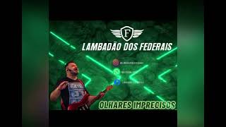 Lambadão dos Federais- Olhares imprecisos.