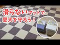 【滑り止めマット】犬がフローリングで滑らない為にマットを買いました【パグ犬よもぎ】