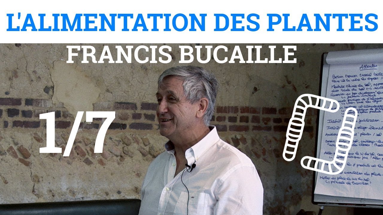 1/7 - Francis BUCAILLE -  Définition d'un sol mort