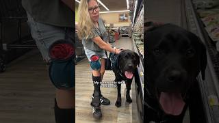 #Viral #Disabled #Disability #ServiceDog #Activism #Ableism #Wheelchair #Prosthesis #HardOfHearing