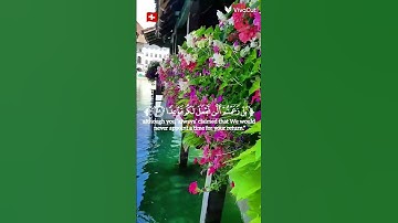ايات من كتاب الله #quran #اكسبلور #المصحف #تلاوة_خاشعة #الرحمن #صوت_جميل محب الشيخ محمد الفقيه❤️