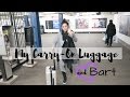 Best Carry-On Luggage  |  Flight Attendant Life  |  VLOG 8